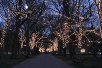 De lichtjes van Commonwealth